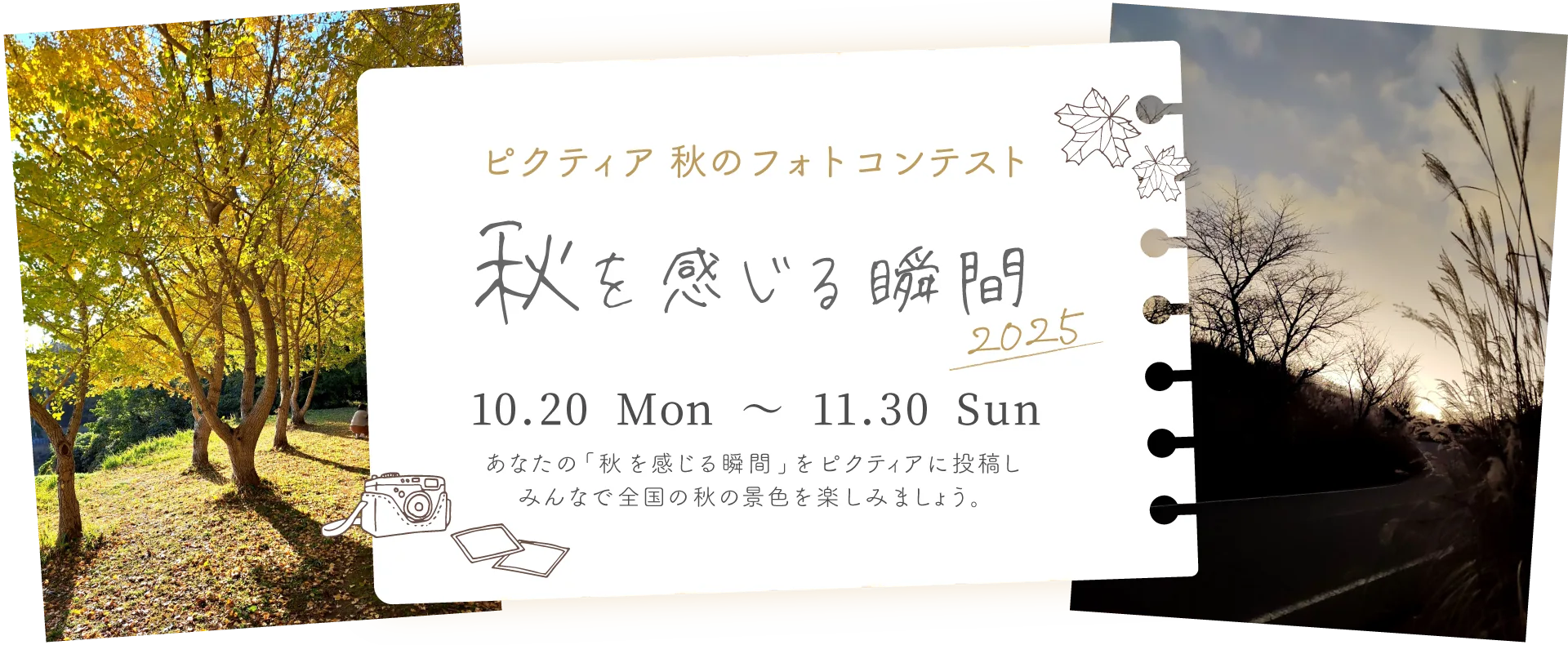 ピクティア‐pictier-