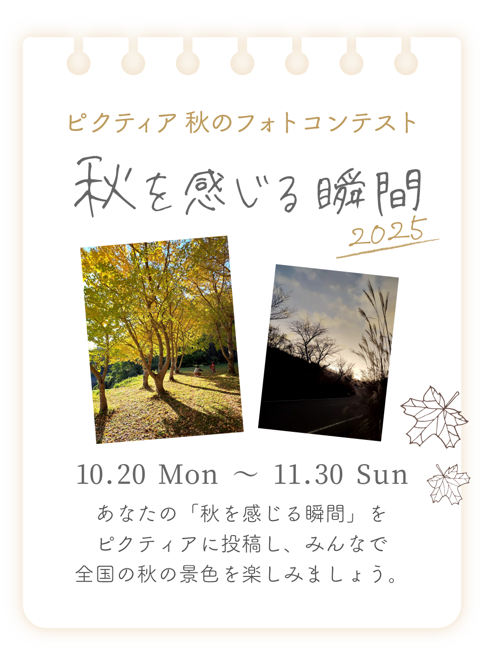 ピクティア‐pictier-