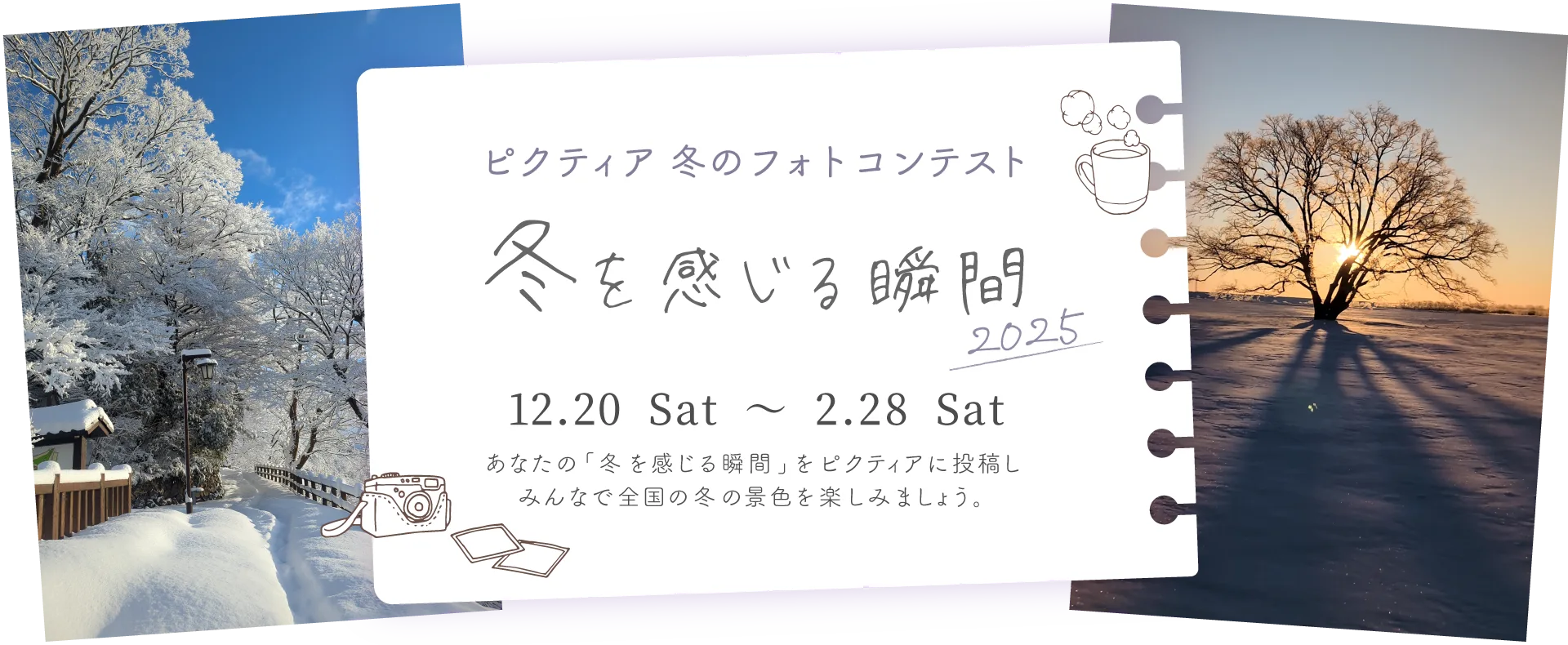 ピクティア‐pictier-