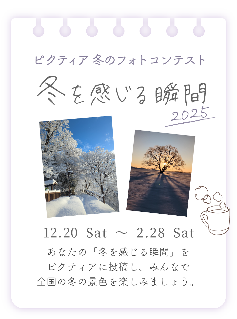 ピクティア‐pictier-