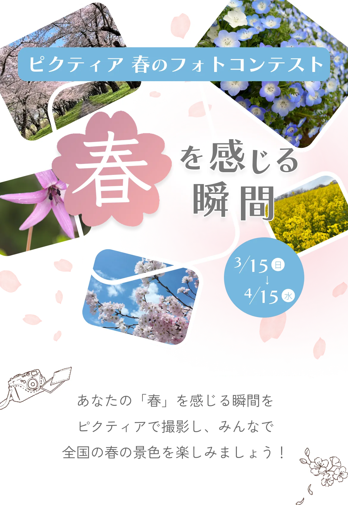 ピクティア 春のフォトコンテスト