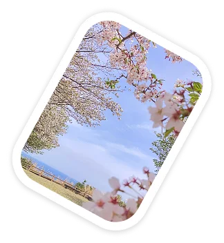 過去の受賞作品