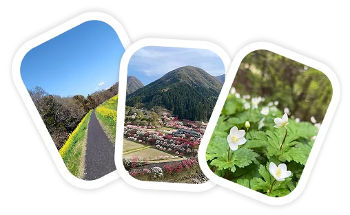 過去の受賞作品